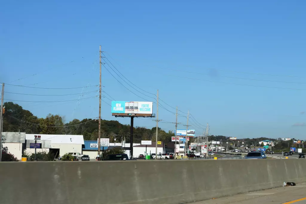 I-55 2 mi S/O Richardson Road WS, S/F