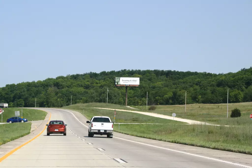 Hwy 61 7.2 mi N/O Route UU/Bowling Green overpass ES, S/F